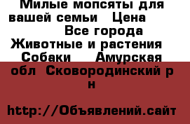 Милые мопсяты для вашей семьи › Цена ­ 20 000 - Все города Животные и растения » Собаки   . Амурская обл.,Сковородинский р-н